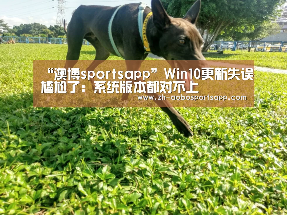 澳博sportsapp