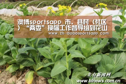 澳博sportsapp_市、县村(社区)“两委”换届工作督导组到花山瑶族乡调研(图4) 澳博sportsapp